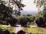Oxleas Woods, Castle Wood, Jack Wood